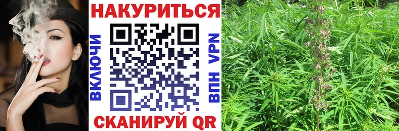 Что такое Шацк Галлюциногенные грибы Cocaine АМФЕТАМИН Меф ГАШ