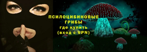 бутират Алексин