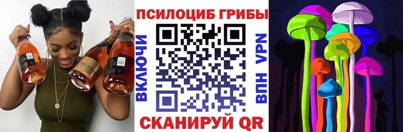 Псилоцибиновые грибы Cubensis  цены   ОМГ ОМГ ссылка  Шацк 